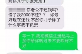 顺德为什么选择专业追讨公司来处理您的债务纠纷？